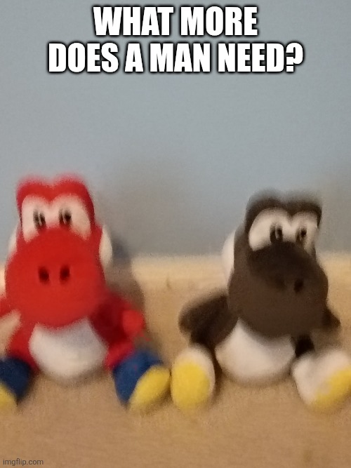 Am I right? | What more does a man need? | image tagged in img_20260503_114221005 jpg | made w/ Imgflip meme maker