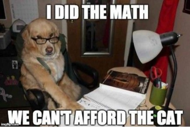 No Cat | image tagged in repost | made w/ Imgflip meme maker