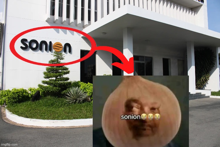 Sonion?✌️ | image tagged in img_2688 webp | made w/ Imgflip meme maker
