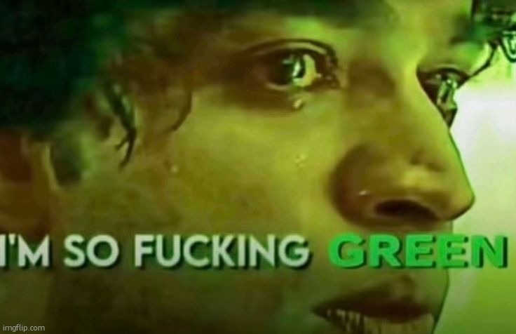 im so fucking green | image tagged in im so fucking green | made w/ Imgflip meme maker