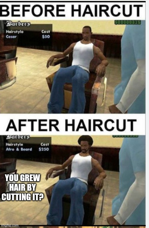 How u grow hair by cutting it | You grew hair by cutting it? | image tagged in haircut,huh,nonsense | made w/ Imgflip meme maker