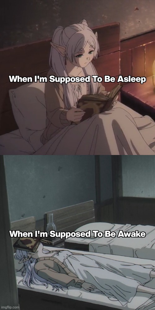 Night Owl | image tagged in anime,memes,sleep | made w/ Imgflip meme maker