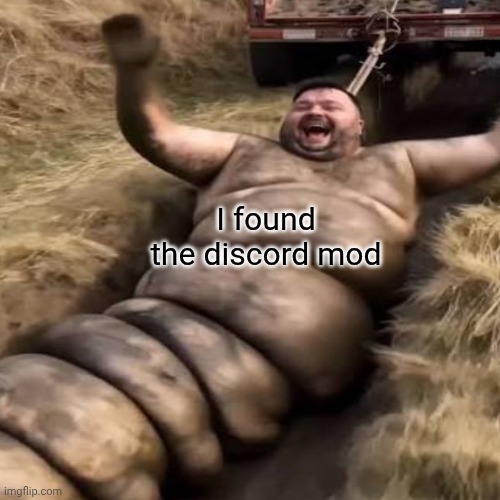 I found the discord mod | I found the discord mod | image tagged in funny | made w/ Imgflip meme maker