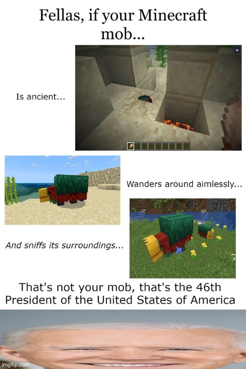 Any Minecraft players in here | image tagged in minecraft,joe biden,sniffer | made w/ Imgflip meme maker