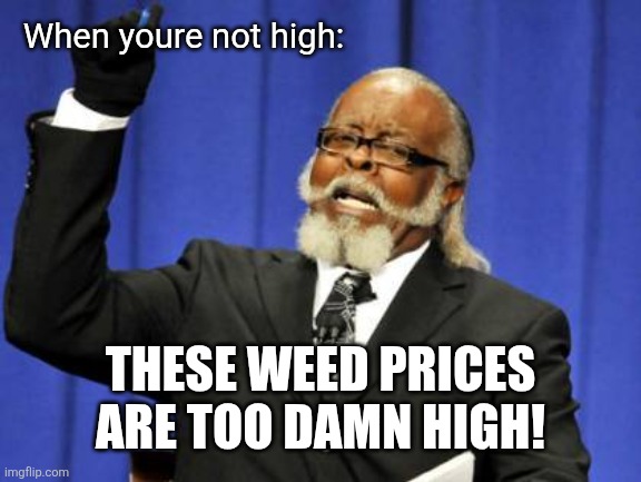 Too Damn High Meme | When youre not high: These weed prices are too damn high! | image tagged in memes,too damn high | made w/ Imgflip meme maker
