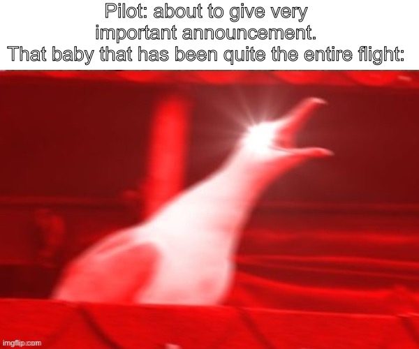 “The left engine is about to explode!” | Pilot: about to give very important announcement.
That baby that has been quite the entire flight: | image tagged in user used - read tags -,it wasnt very effective | made w/ Imgflip meme maker