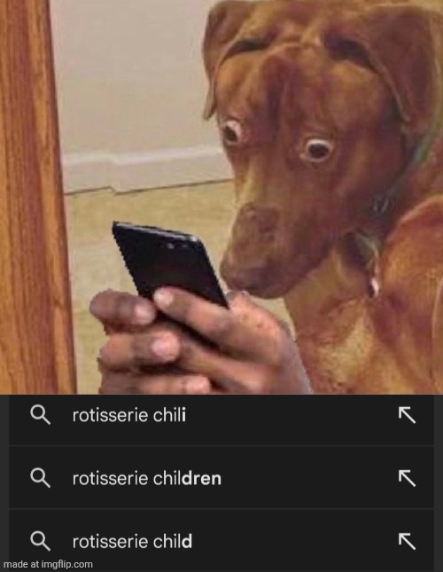 Rotisserie children | image tagged in shocked dog,rotisserie children,rotisserie,children | made w/ Imgflip meme maker