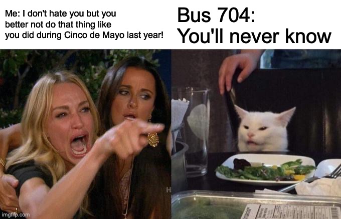 Yes, I still like bus 704 any day including Cinco de Mayo... but... hopefully it doesn't do it again... | Me: I don't hate you but you better not do that thing like you did during Cinco de Mayo last year! Bus 704: You'll never know | image tagged in memes,woman yelling at cat | made w/ Imgflip meme maker