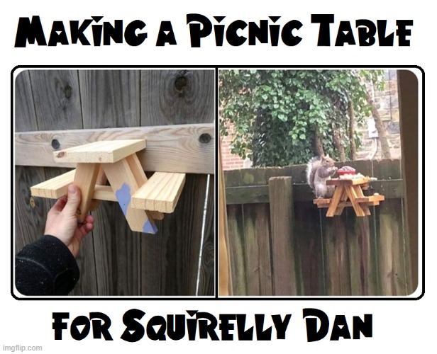 How I got Squirrely Dan to model for me! | image tagged in vince vance,squirrels,picnic table,backyard,funny animal memes,wood working | made w/ Imgflip meme maker