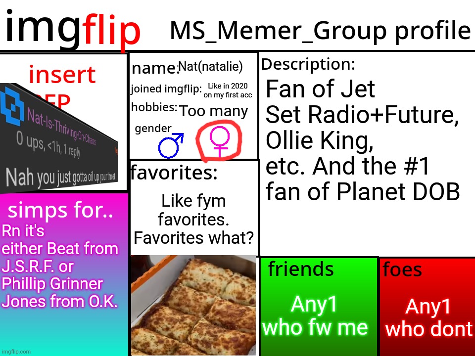 MSMG Profile | Nat(natalie); Fan of Jet Set Radio+Future, Ollie King, etc. And the #1 fan of Planet DOB; Like in 2020 on my first acc; Too many; Like fym favorites. Favorites what? Rn it's either Beat from J.S.R.F. or Phillip Grinner Jones from O.K. Any1 who dont; Any1 who fw me | image tagged in msmg profile | made w/ Imgflip meme maker