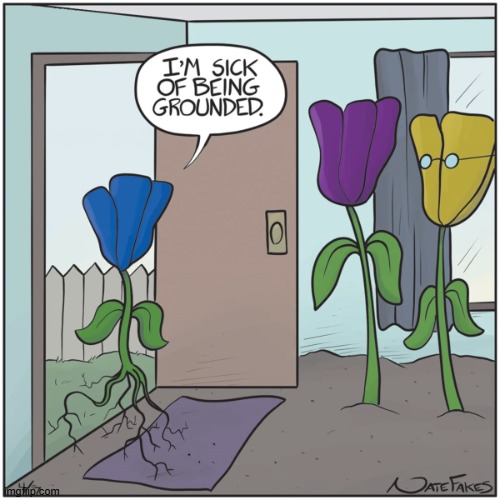 "Uprooted GIrl. I'm in Love with a Uprooted Girl." -Billy Jasmine | image tagged in vince vance,flowers,cartoons,roots,grounded,talking flowers | made w/ Imgflip meme maker