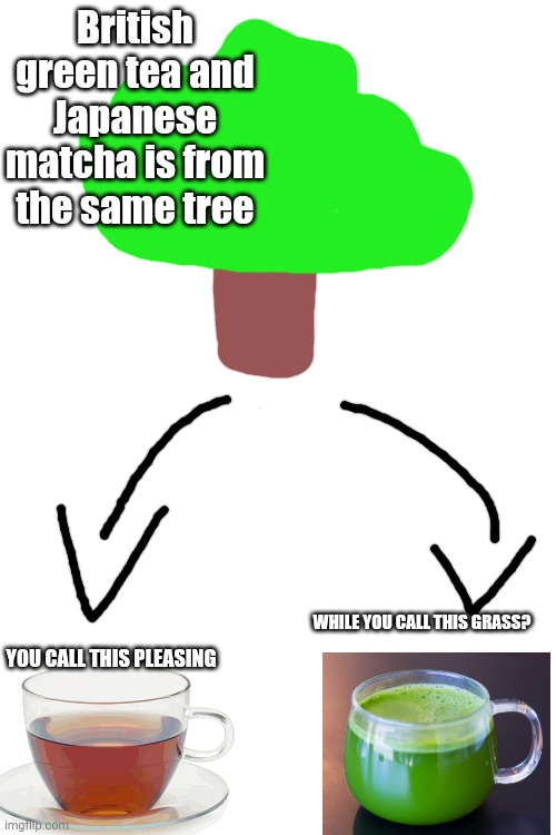 TS SO RACIST gng "skull emoji" | British green tea and Japanese matcha is from the same tree; While you call this grass? You call this pleasing | image tagged in racism,racist | made w/ Imgflip meme maker