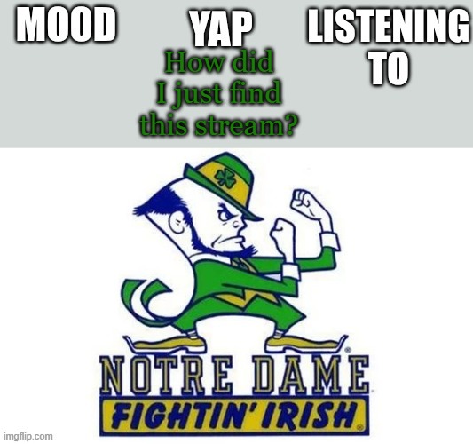 Notre_Dame_fan102's Second Announcement Temp | How did I just find this stream? | image tagged in notre_dame_fan102's second announcement temp | made w/ Imgflip meme maker