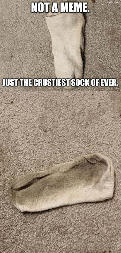 Crusty sock ftw | Not a meme. Just the crustiest sock of ever. | image tagged in crusty sock 1,crusty sock 2 | made w/ Imgflip meme maker