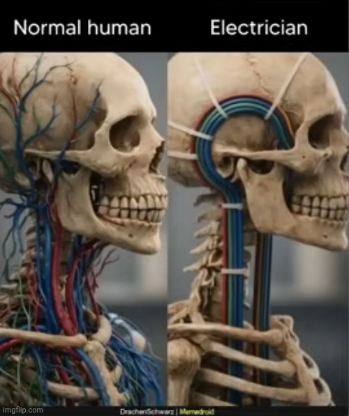image tagged in humans,electrician,skeleton,nerves,neat,body | made w/ Imgflip meme maker