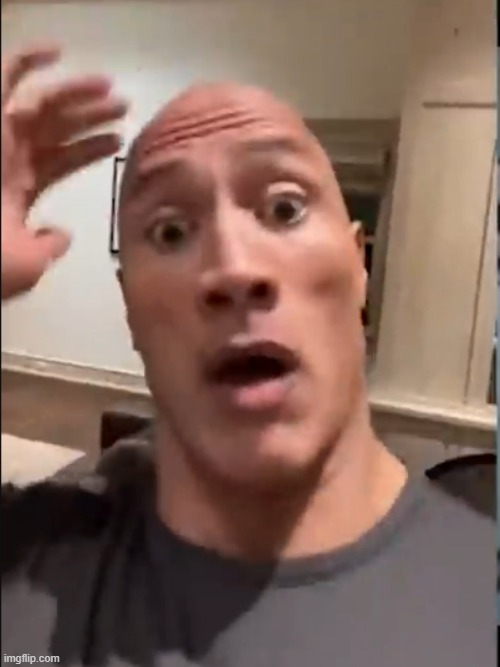 THE ROCK SCARED | image tagged in the rock scared | made w/ Imgflip meme maker