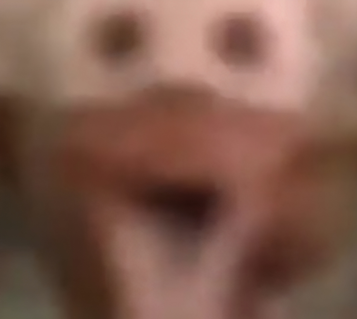 PCS-1939 Blank Meme Template