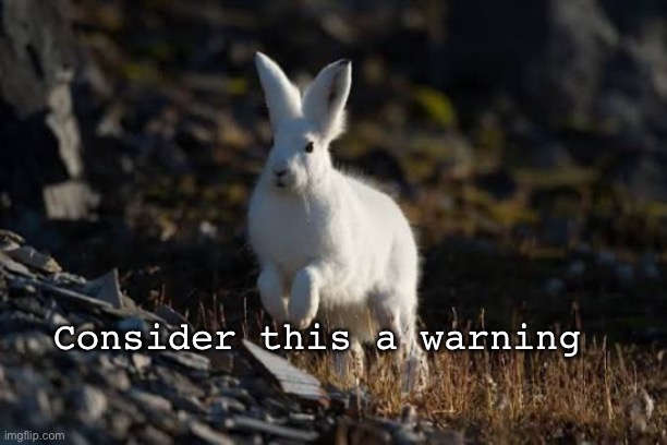 Consider this a warning | image tagged in bnuuy | made w/ Imgflip meme maker