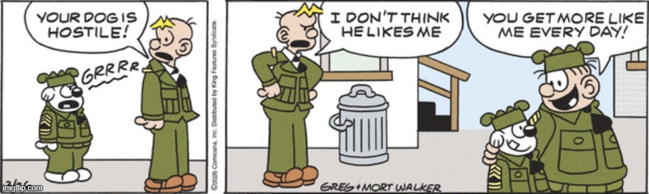 Beetle Bailey | image tagged in comics | made w/ Imgflip meme maker