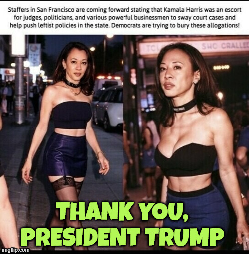 Thank you, President Trump | made w/ Imgflip meme maker