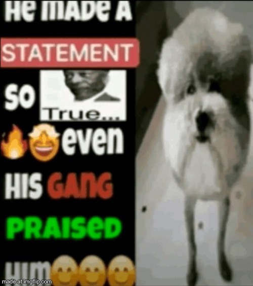 he made a statement so true | image tagged in he made a statement so true | made w/ Imgflip meme maker