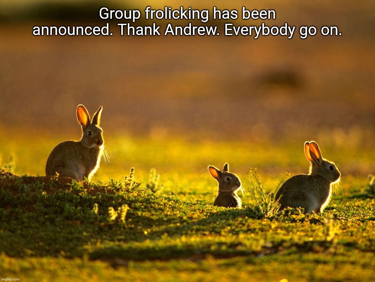 Group frolicking has been announced. Thank Andrew. Everybody go on. | made w/ Imgflip meme maker