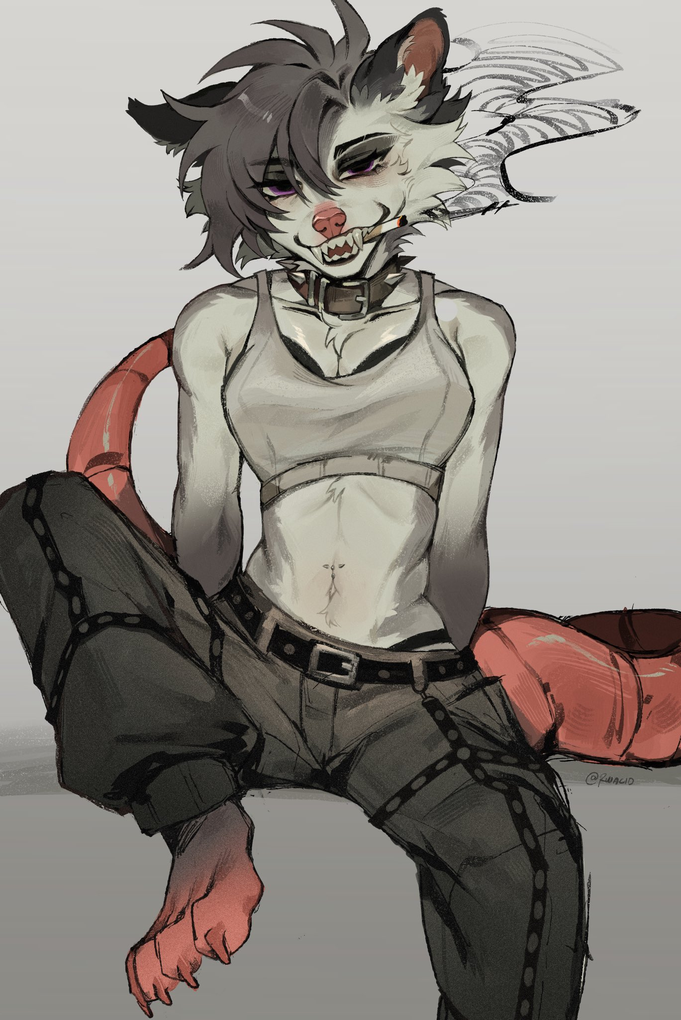 Anthro Possum Blank Meme Template