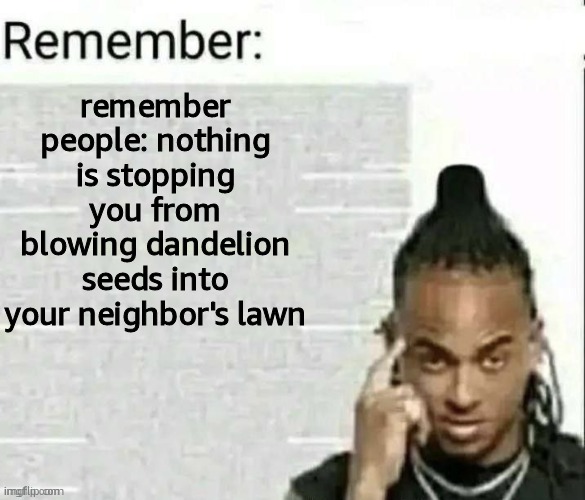 Remember | remember people: nothing is stopping you from blowing dandelion seeds into your neighbor's lawn | image tagged in remember,chaotic | made w/ Imgflip meme maker
