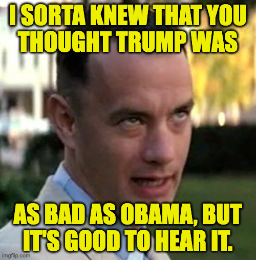 Forrest Gump again | i sorta knew that you
thought trump was as bad as obama, but
it's good to hear it. | image tagged in forrest gump again | made w/ Imgflip meme maker