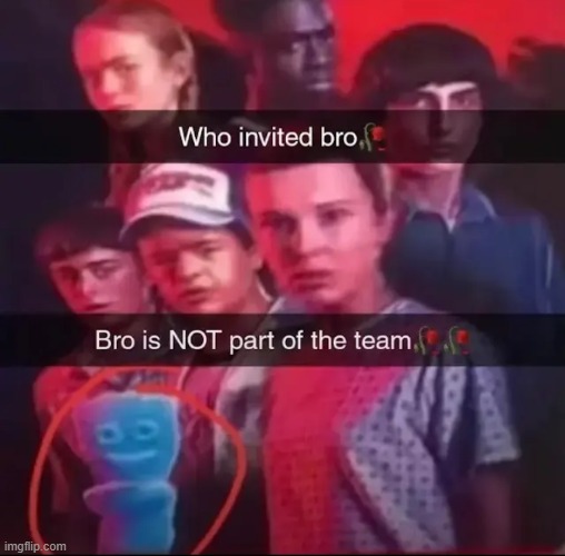 who invited bro | image tagged in who invited bro | made w/ Imgflip meme maker