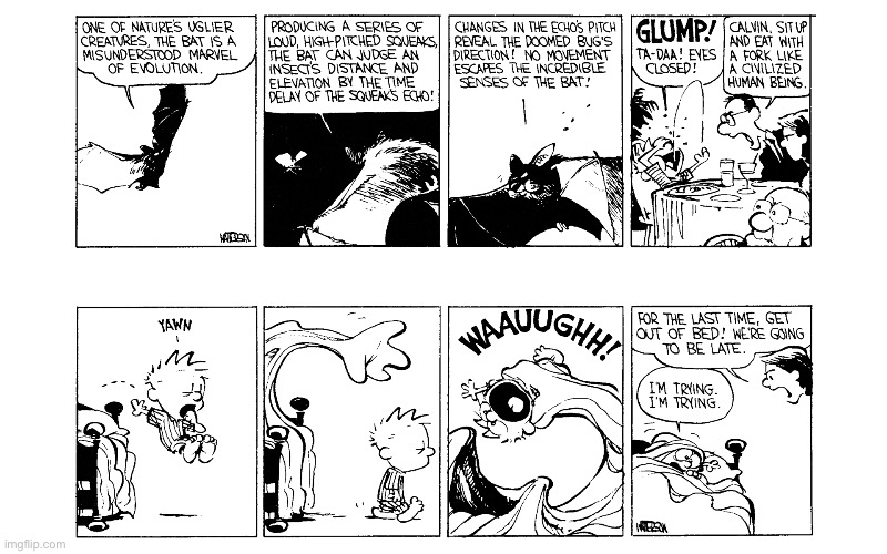 image tagged in calvin and hobbes,comics | made w/ Imgflip meme maker