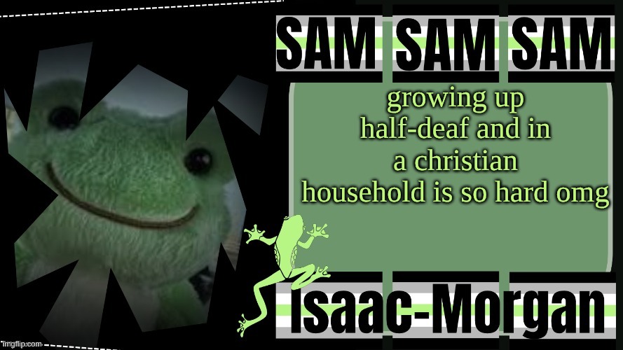 sam's fav frog temp | growing up half-deaf and in a christian household is so hard omg | image tagged in sam's fav frog temp | made w/ Imgflip meme maker