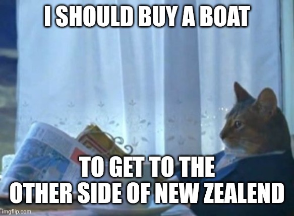 New Zelend | I should buy a boat; To get to the other side of new zealend | image tagged in memes,i should buy a boat cat | made w/ Imgflip meme maker