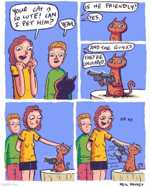 The Other End | image tagged in comics,cat,is he friendly,guns,unloaded,shooting | made w/ Imgflip meme maker