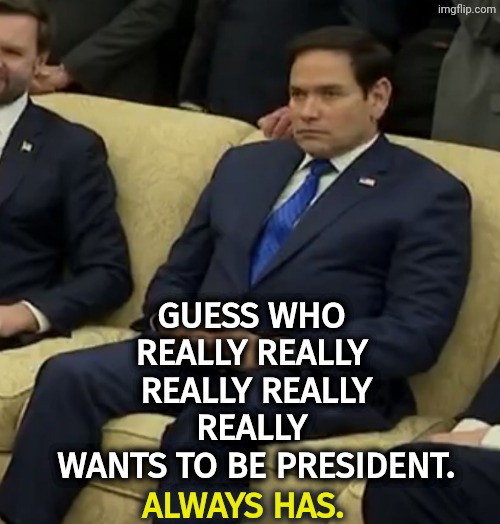 Little Marco will put up with any humiliation if it helps him get to be president. | Guess who 
really really 
really really
really 
wants to be president. Always has. | image tagged in rubiosickofittemplate,marco rubio,ambition,president,loser,wimp | made w/ Imgflip meme maker
