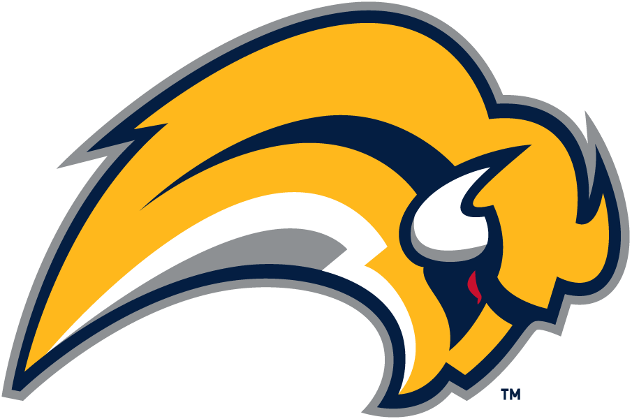 Buffalo Sabres Logo- Slug Blank Meme Template