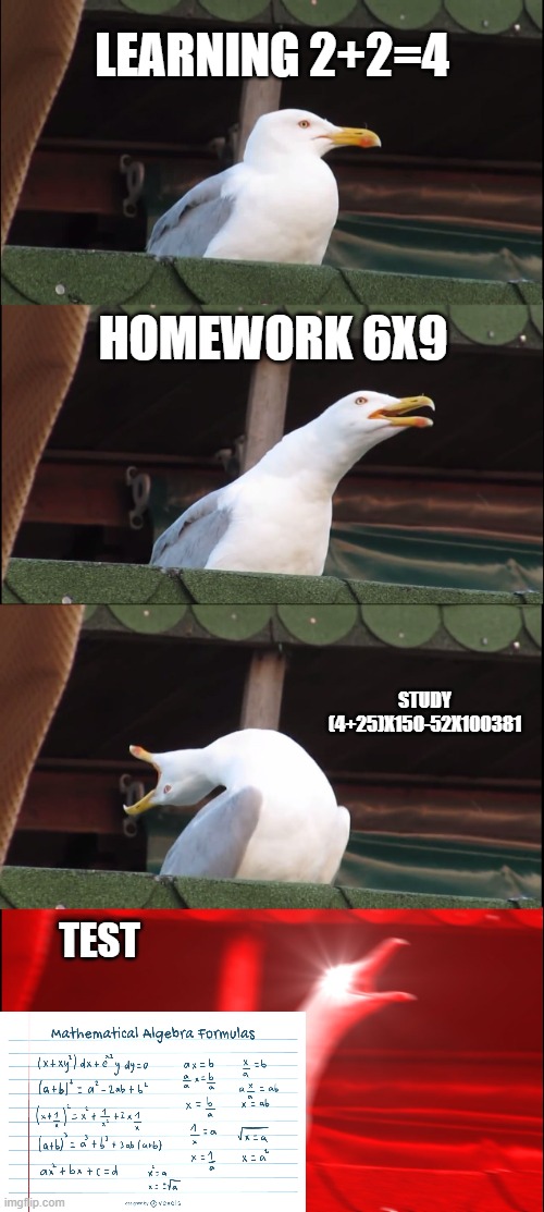 Inhaling Seagull Meme | learning 2+2=4; homework 6x9; study (4+25)x150-52x100381; test | image tagged in memes,inhaling seagull | made w/ Imgflip meme maker