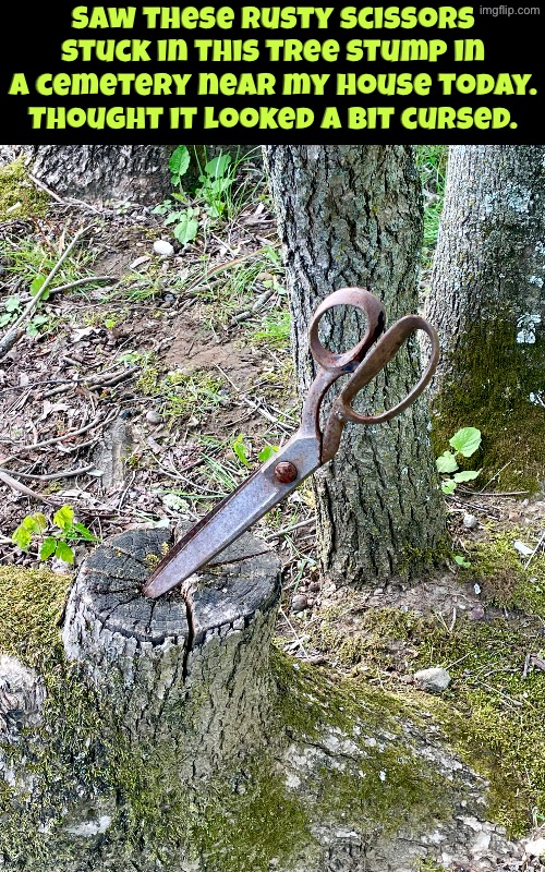 Thought of this stream when I saw this earlier today | Saw these rusty scissors stuck in this tree stump in a cemetery near my house today. Thought it looked a bit cursed. | image tagged in cursed images,scissors,cemetery,photography,can't unsee,what the hell happened here | made w/ Imgflip meme maker