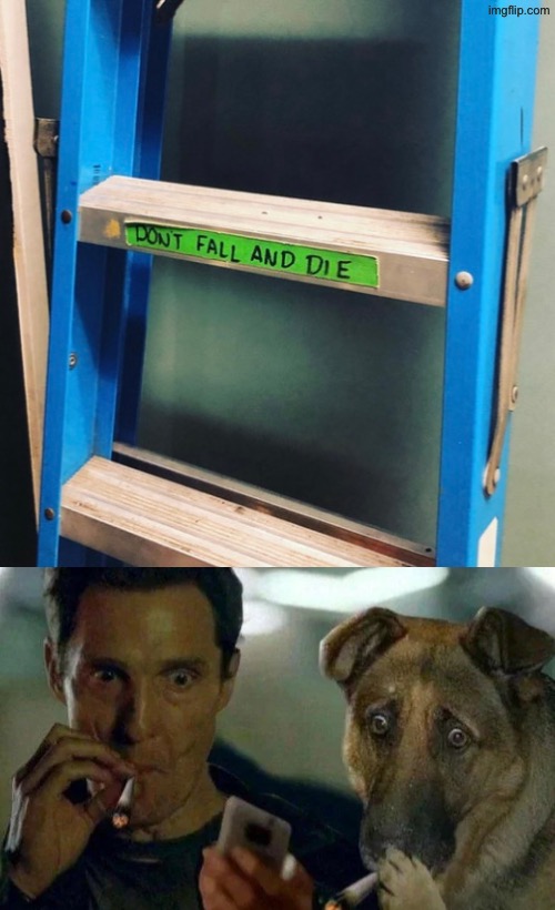 Don't Fall And Die | image tagged in cursed images,reactions,weed,stoner dog,guess i'll die,falling | made w/ Imgflip meme maker