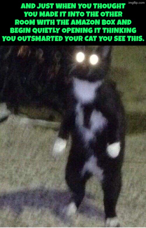Glowing Eyed Boxtard | And just when you thought you made it into the other room with the Amazon box and begin quietly opening it thinking you outsmarted your cat you see this. | image tagged in cats,funny cats,boxes,you may have outsmarted me but i outsmarted your understanding,sneaky,fail | made w/ Imgflip meme maker