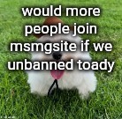 dog | would more people join msmgsite if we unbanned toady | image tagged in dog | made w/ Imgflip meme maker