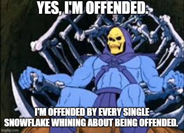 Offended Skeletor | Yes, I'm offended. I'm offended by every single snowflake whining about being offended. | image tagged in offended skeletor | made w/ Imgflip meme maker