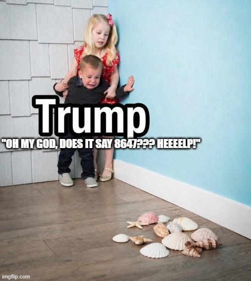 call kash patel asap | "oh my god, does it say 8647??? HEEEELP!" | image tagged in trump scared of seashells jpg | made w/ Imgflip meme maker