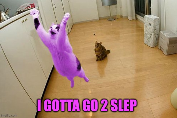 tata | I gotta go 2 slep | image tagged in raycat save the world | made w/ Imgflip meme maker