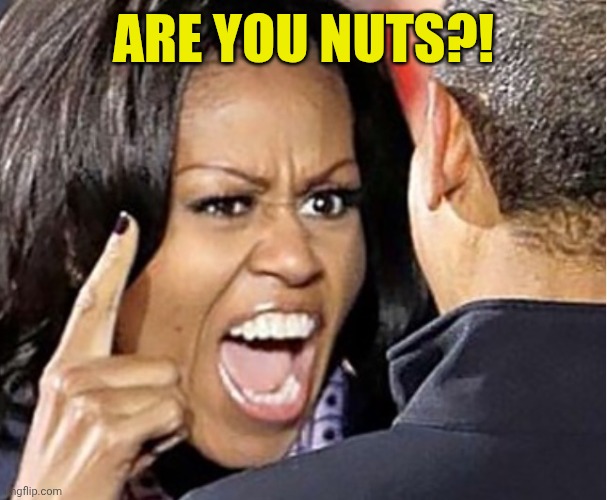 Michelle Obama | Are you nuts?! | image tagged in michelle obama | made w/ Imgflip meme maker