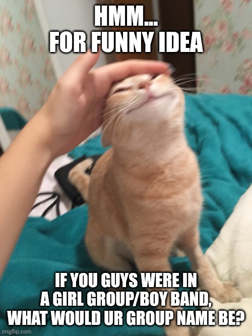 Yall, work ur brains, and have fun, cuz God we need some fun in our lives | Hmm... for funny idea; If you guys were in a girl group/boy band, what would ur group name be? | image tagged in cat pat | made w/ Imgflip meme maker