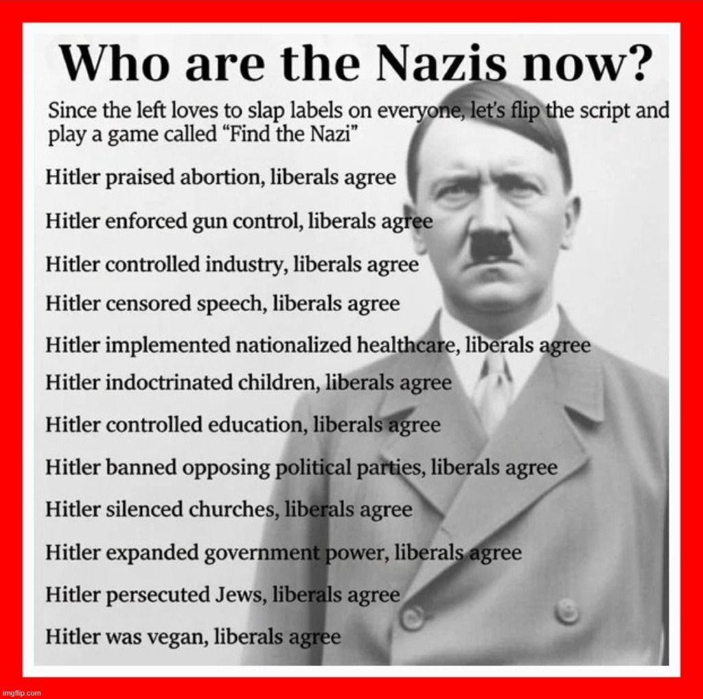 Special Education | image tagged in stupid people be like,adolf hitler,democrats,stupid liberals,nazis,special kind of stupid | made w/ Imgflip meme maker