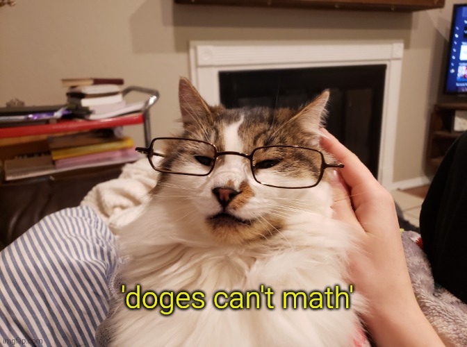 Prof. Edmund J Catus | 'doges can't math' | image tagged in prof edmund j catus | made w/ Imgflip meme maker