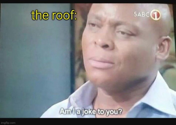 Am I a joke to you? | the roof: | image tagged in am i a joke to you | made w/ Imgflip meme maker