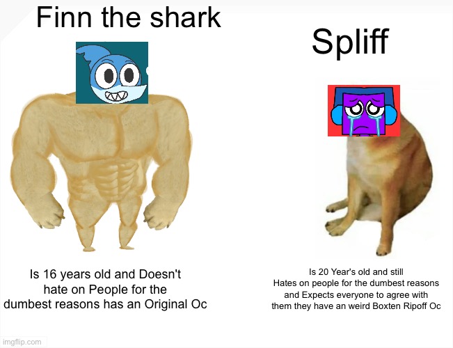 For Spliff | Finn the shark; Spliff; Is 16 years old and Doesn't hate on People for the dumbest reasons has an Original Oc; Is 20 Year's old and still Hates on people for the dumbest reasons and Expects everyone to agree with them they have an weird Boxten Ripoff Oc | image tagged in memes,buff doge vs cheems,spliff,finn the shark,oc,finn | made w/ Imgflip meme maker